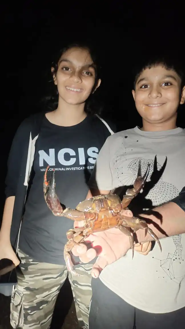 Crab Hunting