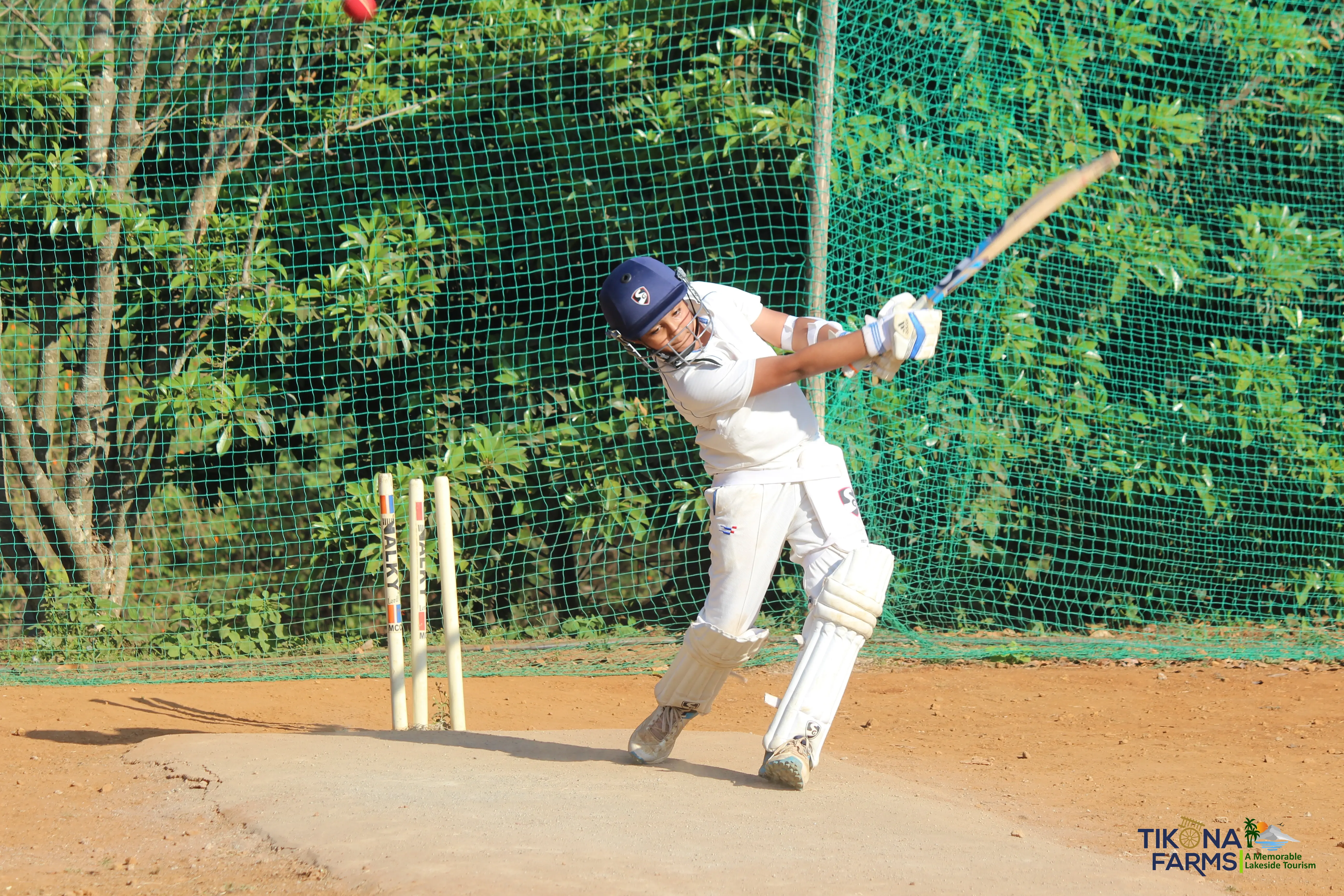Cricket