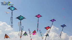 Kite Flying