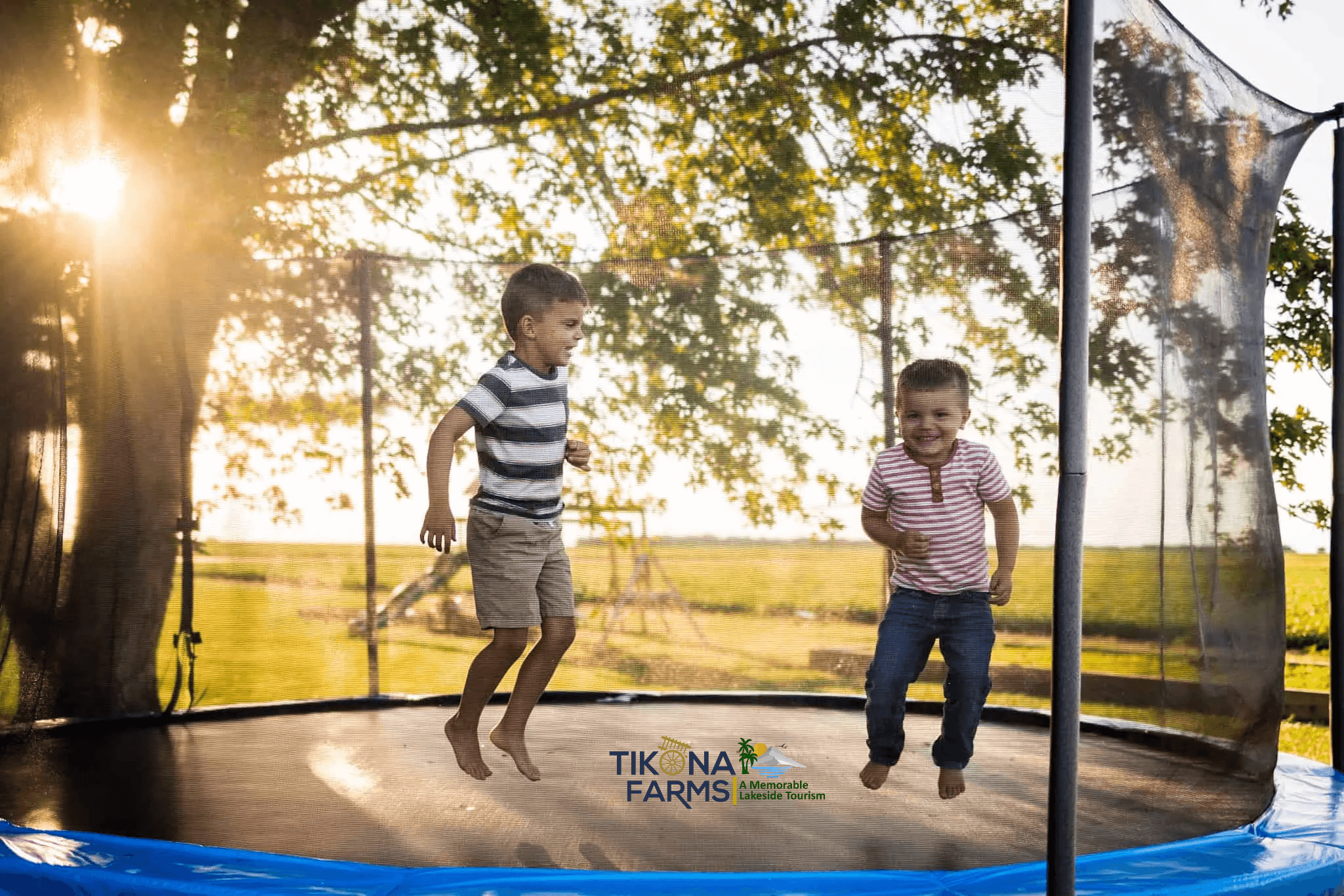 Trampoline
